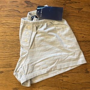 Brandy Melville Keira Stripe Shorts - NWT - Rare Light Green - S